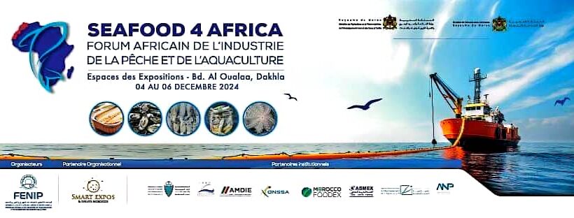 La Fédération Nationale des Industries de Transformation et de Valorisation des Produits de la Pêche (FENIP) organise le forum Seafood 4 Africa 2024, qui se tiendra à Dakhla, Maroc, du 4 au 6 décembre 2024. Dans le cadre des orientations stratégiques de Sa Majesté le Roi Mohammed VI, ce forum vise à promouvoir une coopération halieutique durable et une industrie de la pêche et de l'aquaculture respectueuse de l'économie bleue. Organisé en partenariat avec divers ministères marocains, le forum réunira plus de 70 exposants, 30 panélistes et 3 000 visiteurs de toute l'Afrique et d'autres continents. L'agenda comprendra des conférences scientifiques, des réunions B2B et une exposition sur la chaîne de valeur des produits de la pêche et de l'aquaculture. Le forum offrira un espace privilégié pour le dialogue et les échanges entre les acteurs du secteur halieutique africain. Il a pour objectif principal de renforcer la croissance économique, le progrès social et la valorisation durable des produits de la mer. Parmi les participants confirmés figurent des représentants de pays africains tels que le Bénin, le Cameroun, le Ghana, le Nigéria, le Togo, la Guinée , le Liberia, la Guinée équatorienne, la Côte d'Ivoire, la Mauritanie, la Gambie, le Ghana, et le Sénégal, ainsi que d'institutions régionales et internationales comme la FAO, la COMHAFAT ,la ZLECAF , l'OMPDA, l'UA-BIRA et l'INFOPECHE. Le Seafood 4 Africa 2024 s'inscrit dans le cadre des efforts déployés par le Maroc pour renforcer la coopération Sud-Sud dans le domaine de la pêche et de l'aquaculture. Il vise à soutenir le développement durable du secteur et à promouvoir le commerce intra-africain.